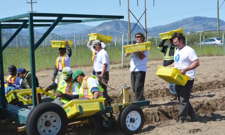 Constellation Brands helps local food bank