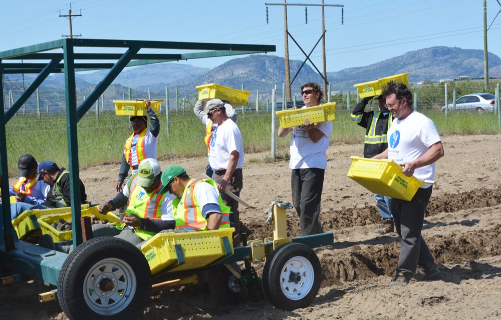 Constellation Brands ‘Nourishing Neighbours’ in Oliver