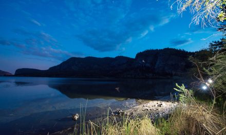 Meadowlark Festival offer’s nature’s best