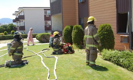 Pot on stove culprit at Woodside