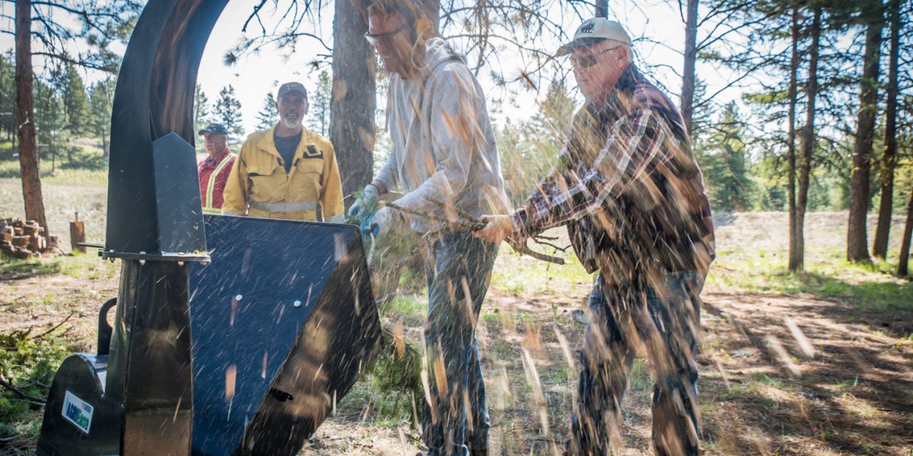 Anarchist Mountain community cleans up brush in park at FireSmart event
