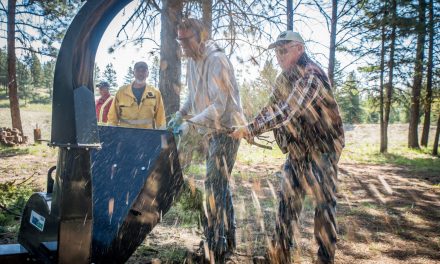 Anarchist Mountain community cleans up brush in park at FireSmart event