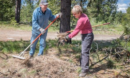 Free FireSmart assessments offered to stratas, manufactured homes