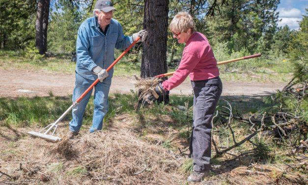 RDOS seeking $650,000 for FireSmart resiliency