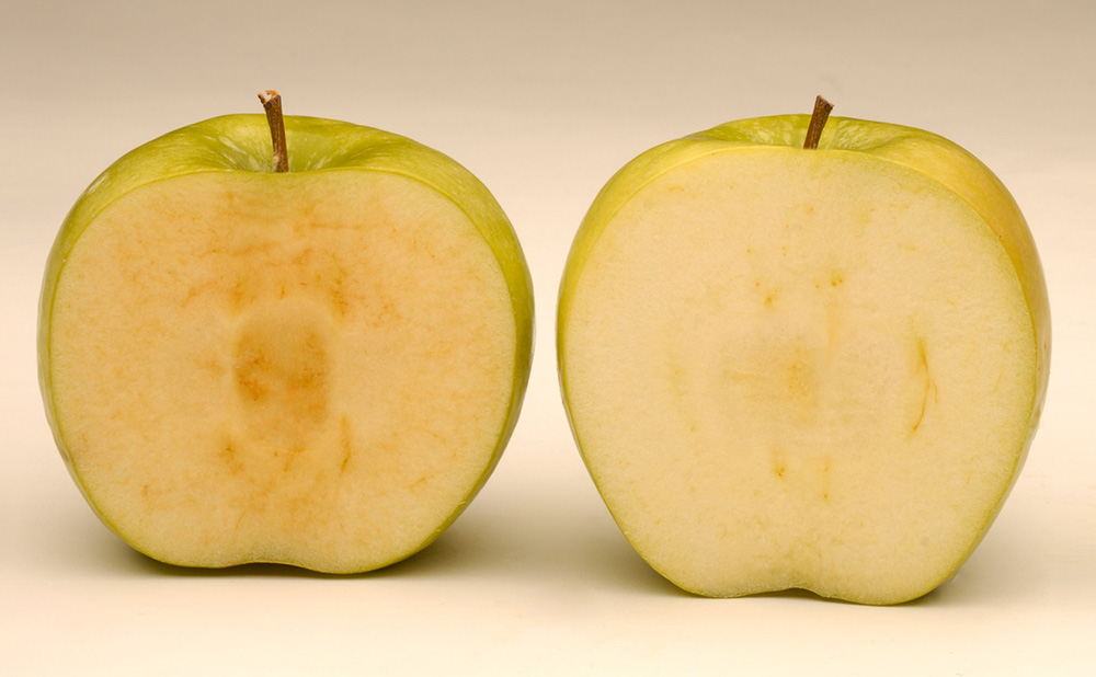 apples continue to spark debate in B.C