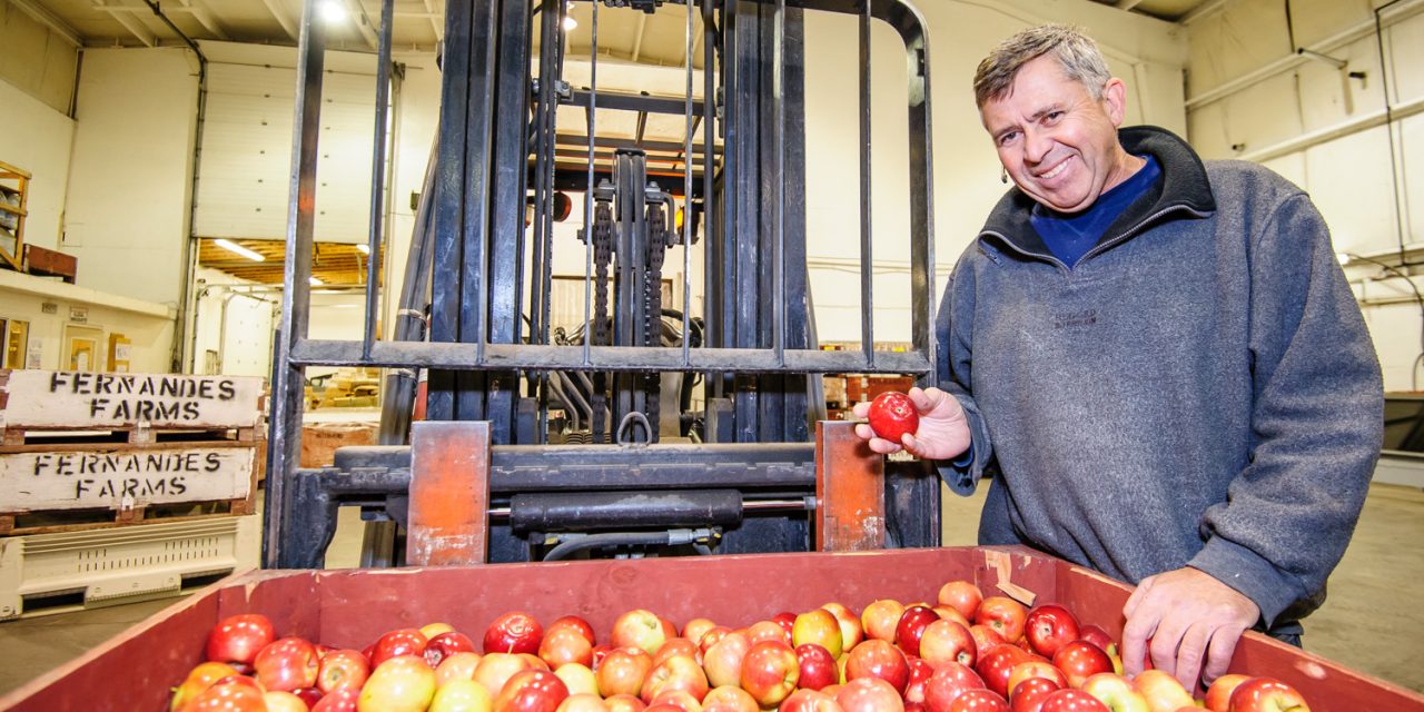 Osoyoos grower Fernandes Farms receives award from grocery chain