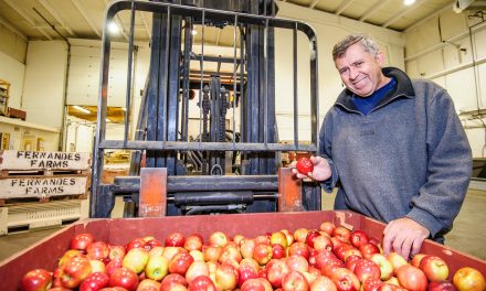 Osoyoos grower Fernandes Farms receives award from grocery chain