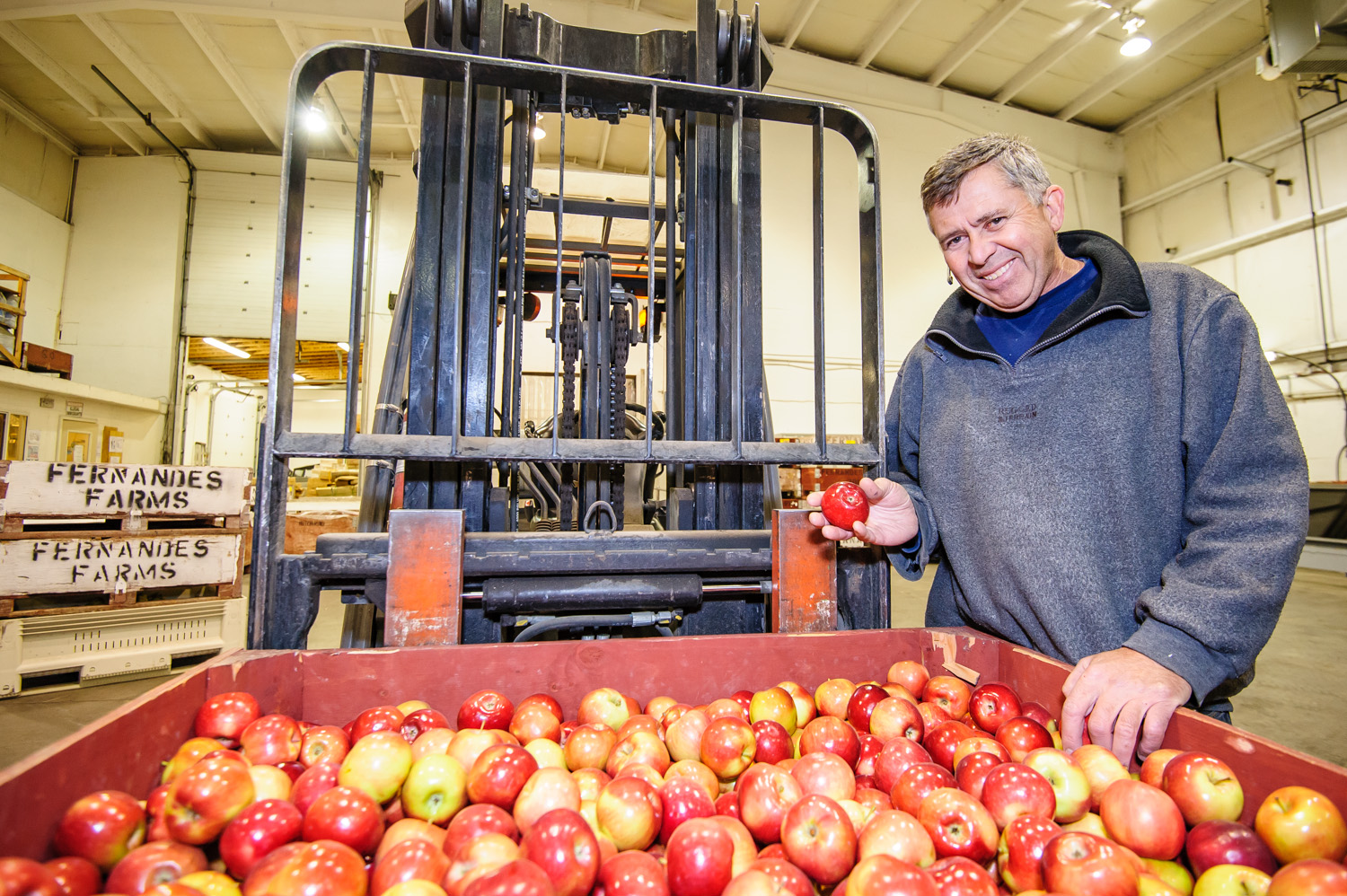 Tom Fernandes shows some of his Okana apples. Fernandes Farms received an award from Loblaw Companies Ltd. recently. (Richard McGuire file photo)