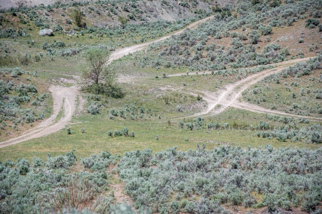 Roads and trails criss-cross on the Osoyoos West Bench where off-road vehicles have carved out trails on environmentally sensitive habitat. (Richard McGuire photo)