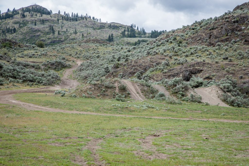 Users of off-road vehicles have created numerous roads running beside each other across sensitive environment. The Ministry of Forests, Lands and Natural Resource Operations urges ATVers to stay on the main road and not to create new roads. (Richard McGuire photo)