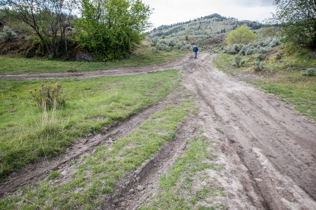 Users of off-road vehicles have created numerous roads running beside each other across sensitive environment. The Ministry of Forests, Lands and Natural Resource Operations urges ATVers to stay on the main road and not to create new roads. (Richard McGuire photo)