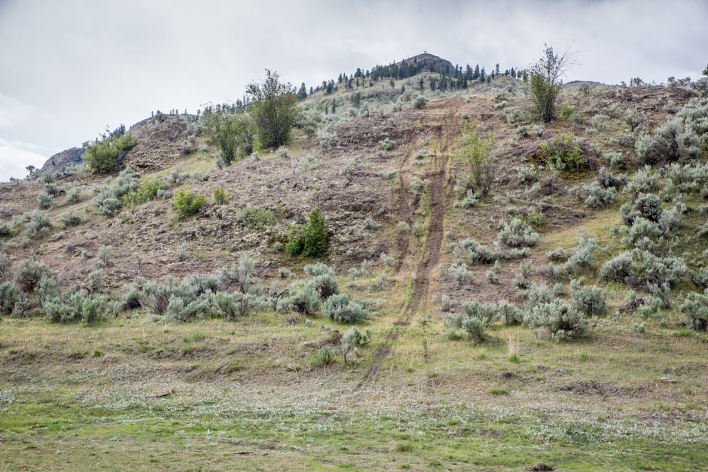 Motocross bike users have carved a new trail onto an embankment. Causing environmental damage by creating new trails is illegal. (Richard McGuire photo)