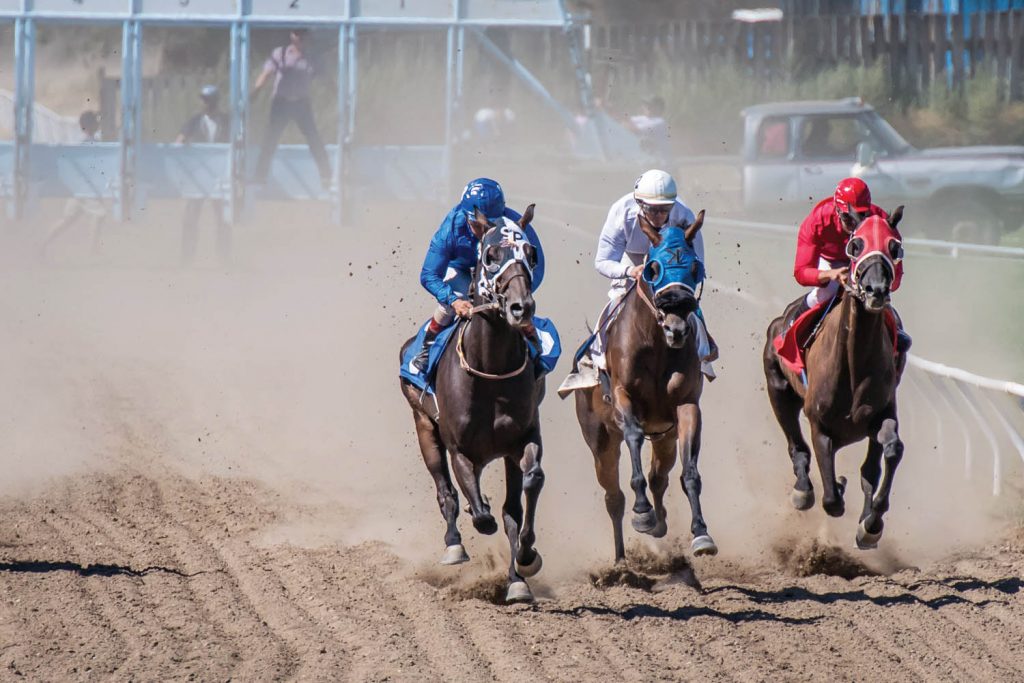 Three horses race side-by-side after leaving the gate at the first of two race days scheduled for Desert Park last August. The second date had to be cancelled due to the wildfire situation. (Richard McGuire file photo)