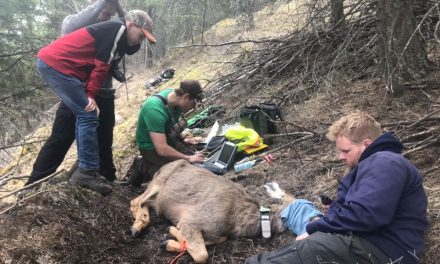 South Okanagan to benefit from $9 million conservation funding