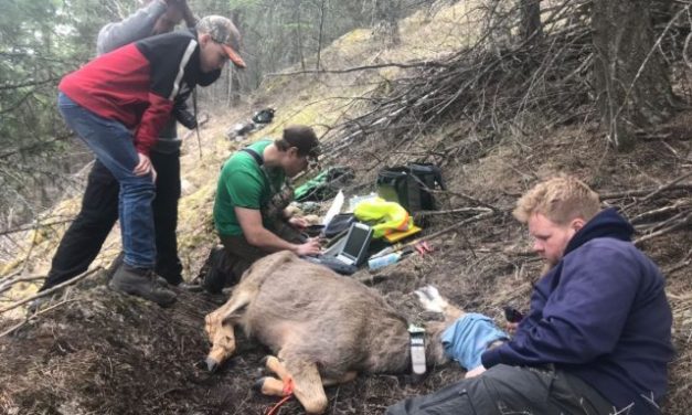 South Okanagan to benefit from $9 million of conservation funding