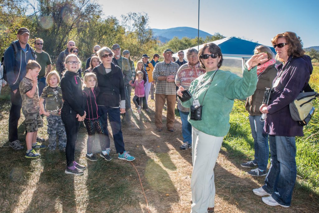 Diane Henderson, program director with the Okanagan Similkameen Conservation Alliance (OSCA) points to where bird banding is taking place during Family Day at the Vaseux Lake Bird Observatory. (Richard McGuire photo)