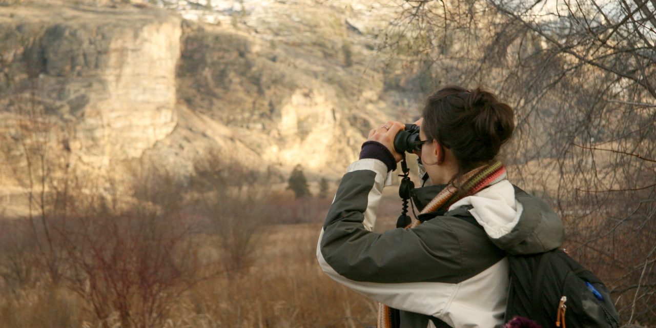 Bird count records unusual migrations