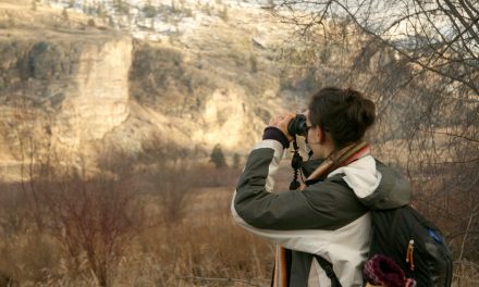 Bird count records unusual migrations