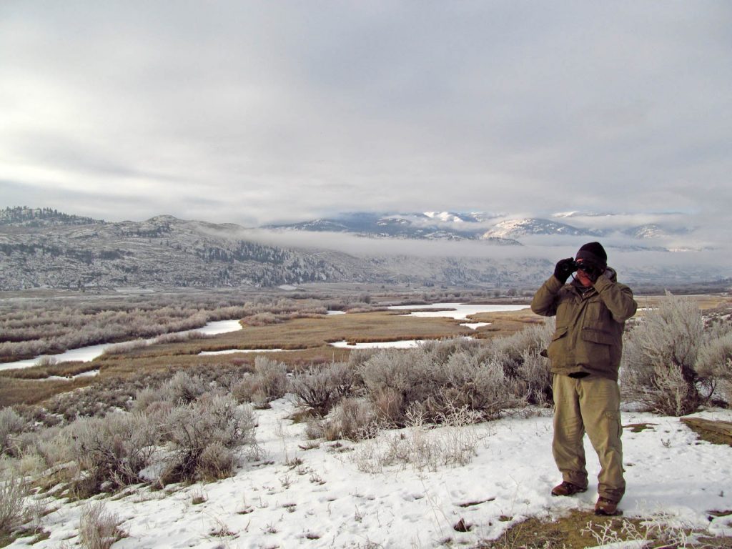 Phil Harfman of Osoyoos looks for birds during the 2016 Christmas Bird Count on New Year’s Eve. It was a chilly day with temperatures ranging between -4 C and -16.3 C. Although the weather didn’t keep away many birds, some that normally spend time on Osoyoos Lake relocated to find open water. (Matt Robinson photo)