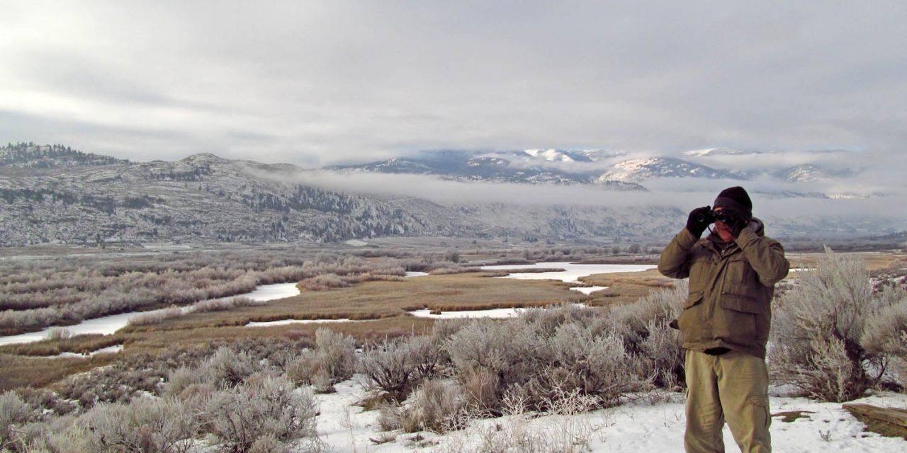 Cold weather affects bird count as frozen lake leads some to relocate