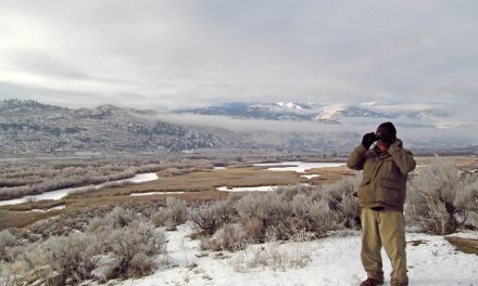 Cold weather affects bird count as frozen lake leads some to relocate