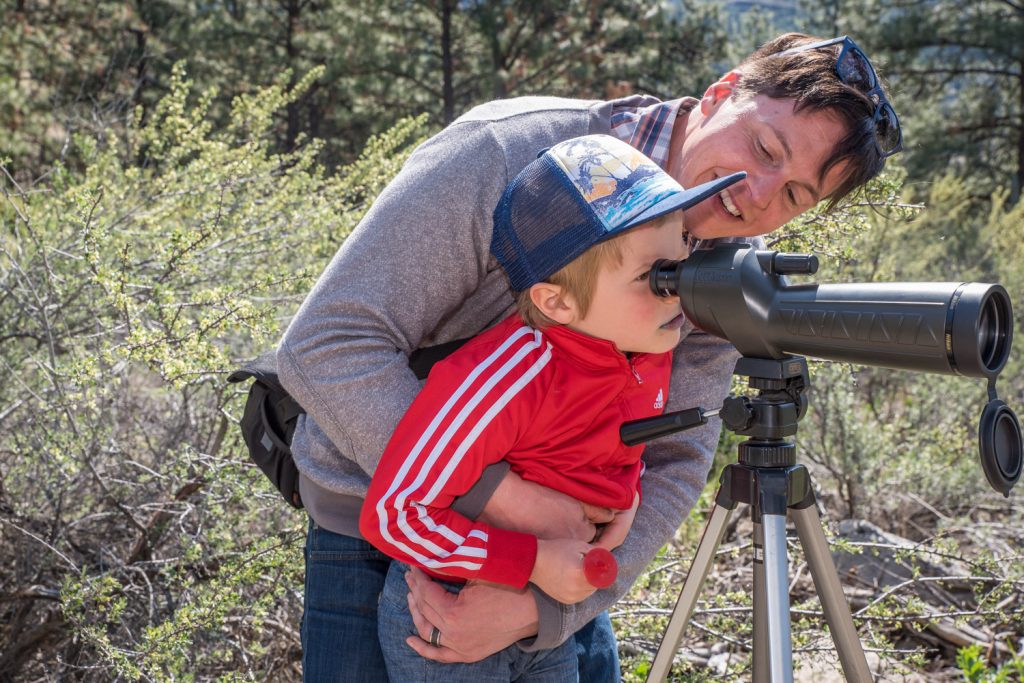John Pushor helps his son Harvey, 5, look through a telescope at burrowing owls being raised by the Burrowing Owl Conservation Program. The birds are in a large cage and people are kept back at a distance so as not to upset them. The Burrowing Owl Conservation Program is a separate organization from SORCO, the Raptor Rehab Centre, but they share the same property. Both organizations invited the public to see their operations at an open house on Sunday. (Richard McGuire photo)