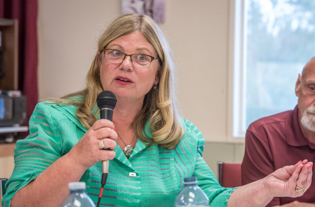 Connie Denesiuk, Liberal candidate