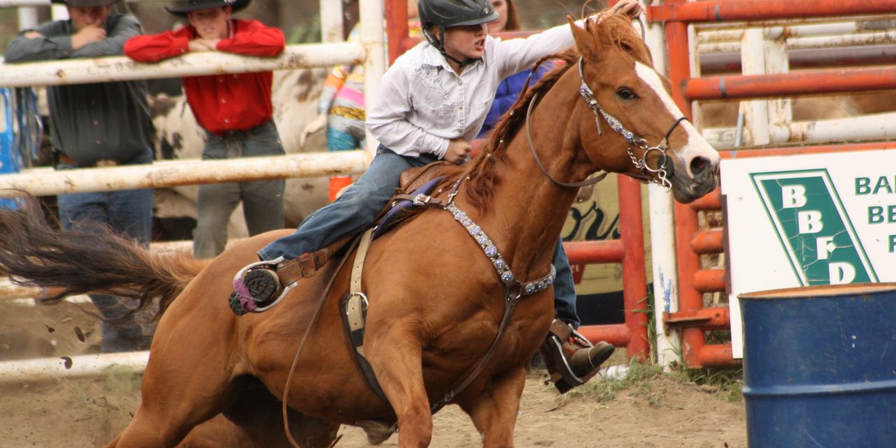 Rodeo action