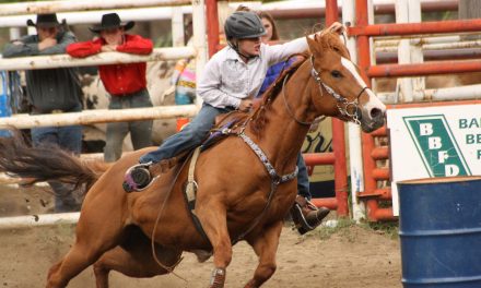 Rodeo action