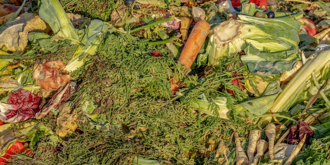 Osoyoos supports grant for organic waste facility
