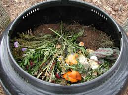 RDOS is looking for best site in region to introduce regional composting program
