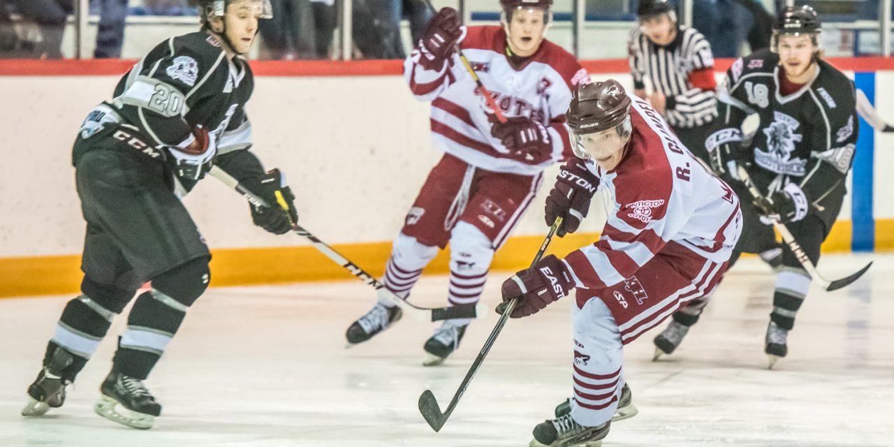 Red-hot Coyotes wrap up regular season Sunday; begin playoff series against Knights on Tuesday
