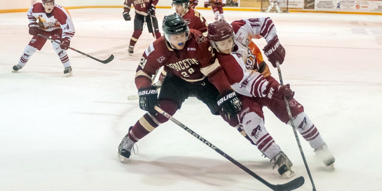 Pair of wins won’t change third-place season finish for Coyotes