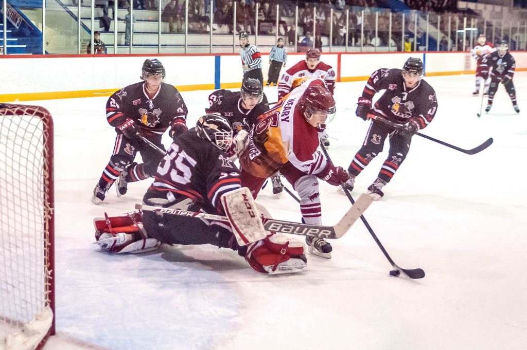 Coyote prospects train by running back and forth at a previous prospects camp. (Richard McGuire file photo)