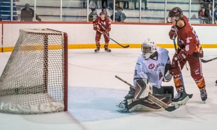 Coyotes welcome returning veterans in bid to build playoff-ready team