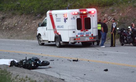 SUV lands at Lions Park