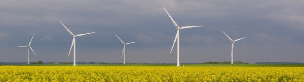 Group brings climate change to council