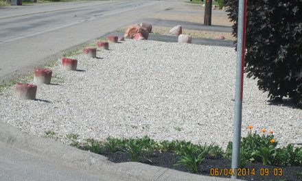 Oliver resident feels singled out over bylaw infraction