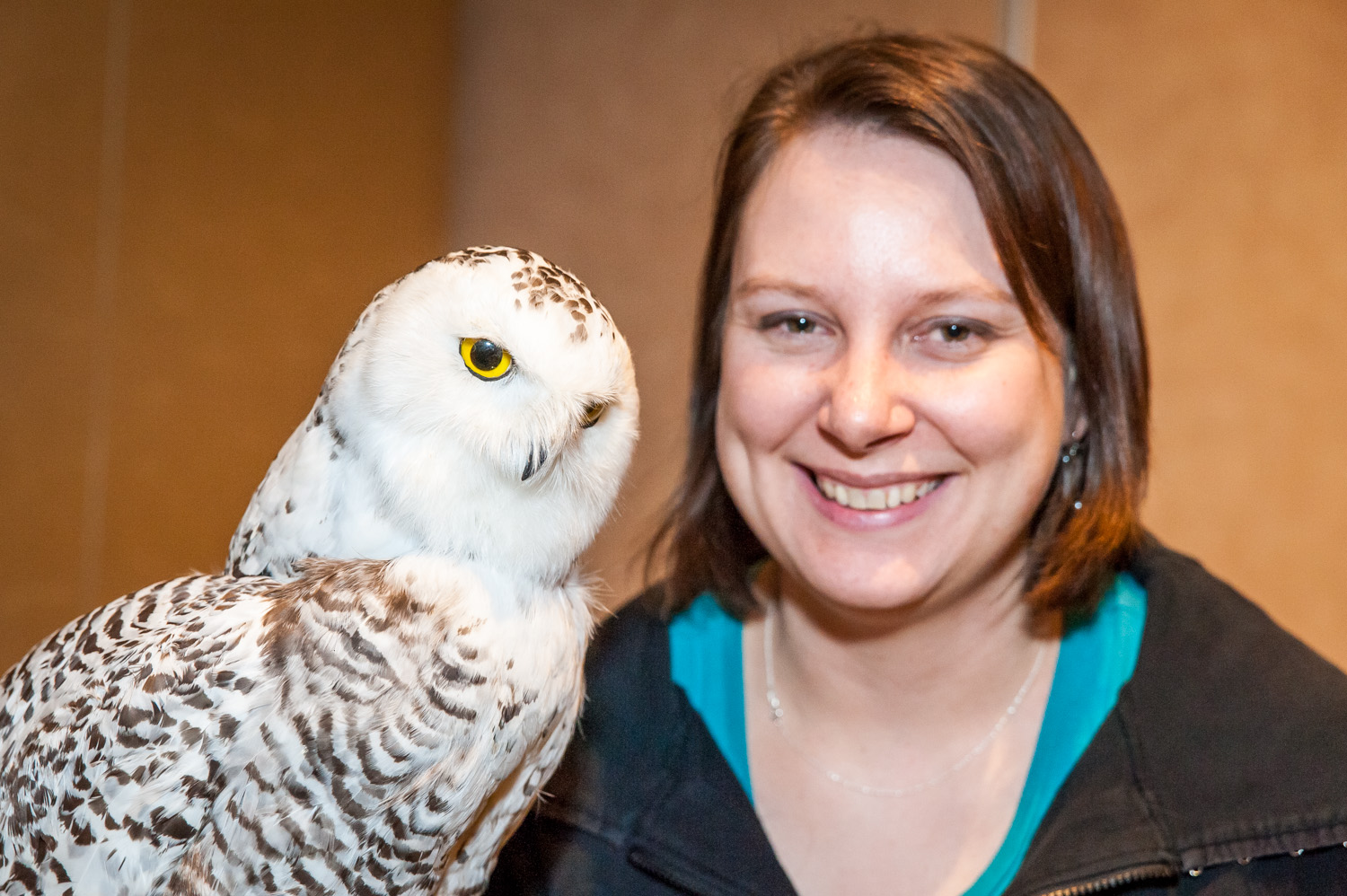 Lauren Meads, executive manager of the South Okanagan Rehabilitation Centre for Owls (SORCO), was guest speaker at the Osoyoos Desert Society's first presentation in its winter program on the subject of snowy owls. She brought a stuffed young snowy owl to her talk in which she detailed SORCO's work to rehabilitate several sick and injured snowy owls last year. The owls breed in the Arctic, but last year a swelling in their population called an "irruption" caused many younger ones to come down through B.C. On Saturday, Feb. 22, the Desert Society's next presentation will discuss the environmental effects of plastic bags and other plastic merchandise. (Richard McGuire photo)