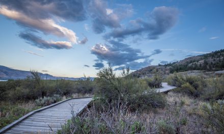 Osoyoos Desert Centre’s annual program series all set to return