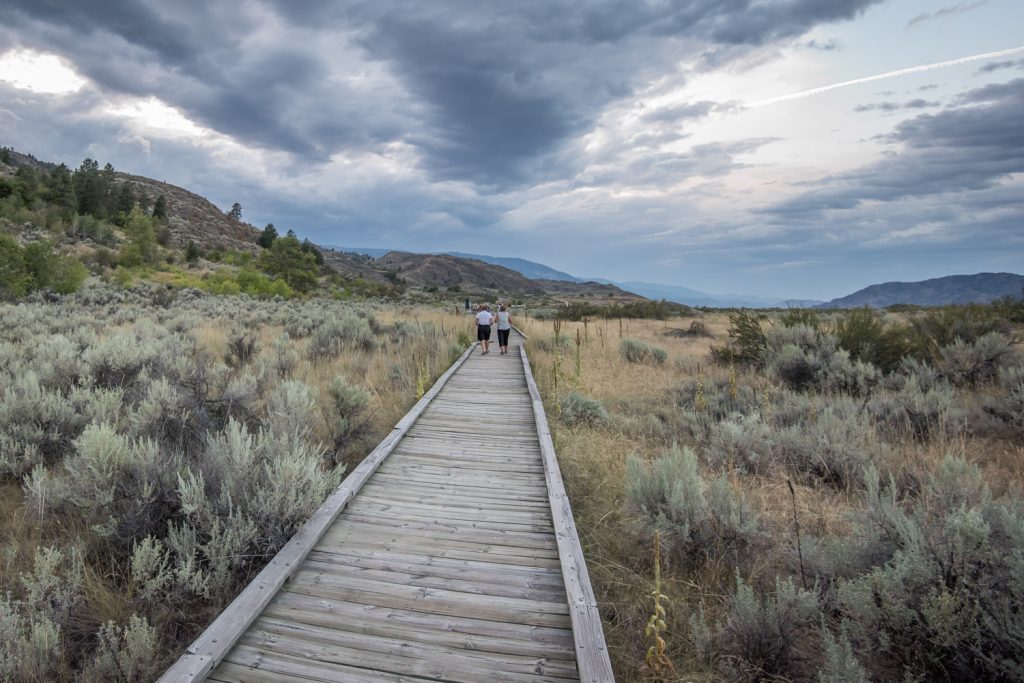 Guests take a tour along the boardwalk at the Osoyoos Desert Centre as evening falls at Romancing the Desert. (Richard McGuire photo)