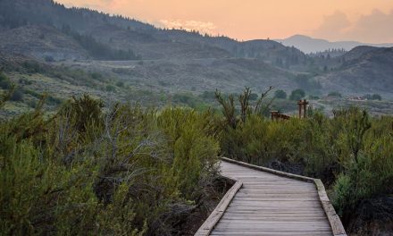 Osoyoos Desert Centre opens June 6