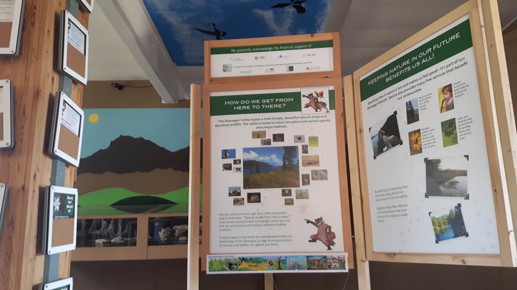Panels at the Osoyoos Desert Centre, in a travelling exhibit, discuss issues of migratory animals and habitat connectivity. (Photo supplied)