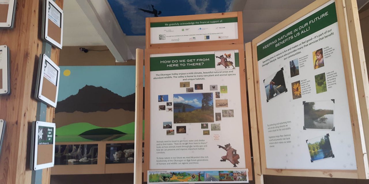 Exhibit at Desert Centre highlights habitat connectivity
