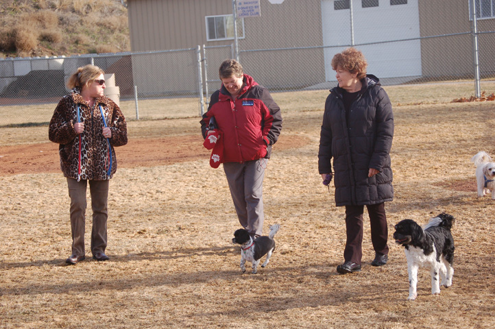 Dog owners cherish off-leash hours in park