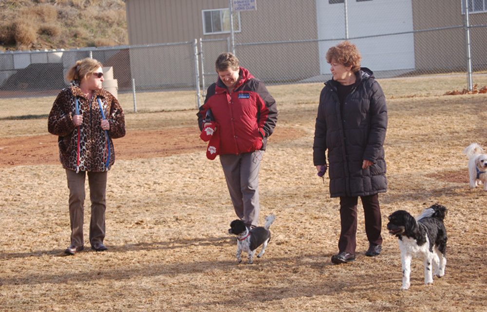 Residents sound off on attack in off-leash park