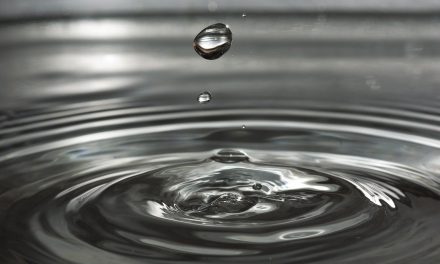 E. coli found again in rural Osoyoos water system