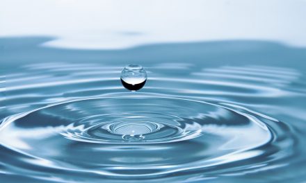 Province lists Okanagan at Level 3 drought