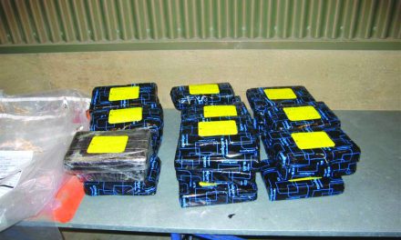 ROUGHLY $1.5 MILLION IN COCAINE SEIZED AT BORDER