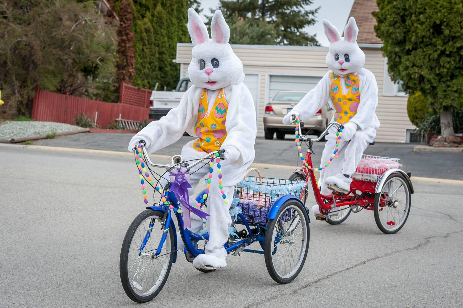 Children lined up to hug or give high-fives to two Easter Bunnies after the egg hunt last year. The bunnies were Ronda Jahn (left) and Ken Baker of the the Osoyoos Times. The two will be back this year hopping around in their bunny outfits. (Richard McGuire file photo)
